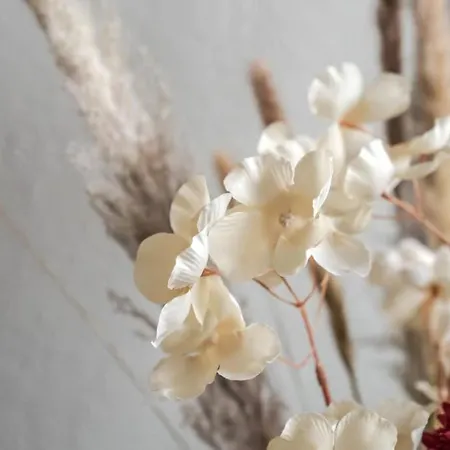 Apartman Le De Jade Dannemarie