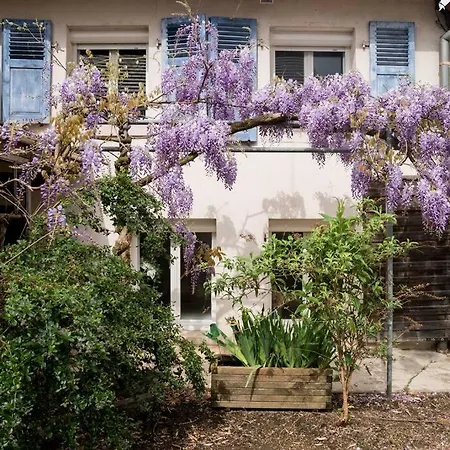 Apartman Le De Jade Dannemarie