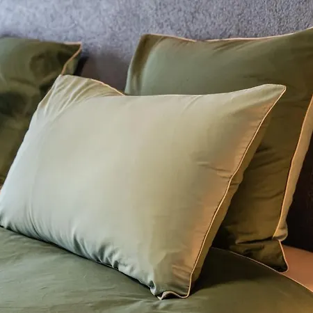 Apartman Le De Jade Dannemarie