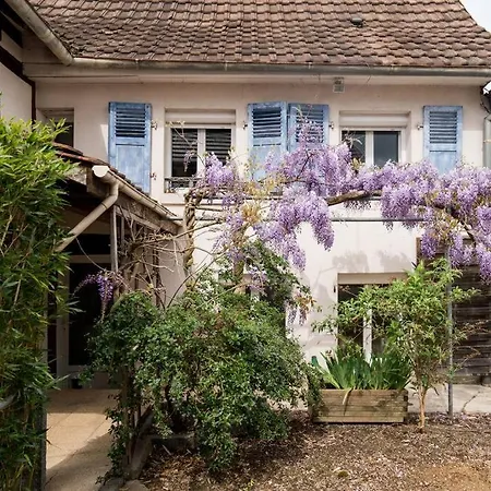 Le De Jade Dannemarie (Haut-Rhin)