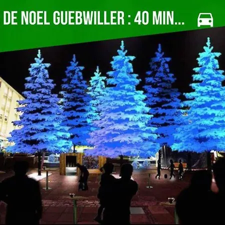 Le De Jade Apartman Dannemarie