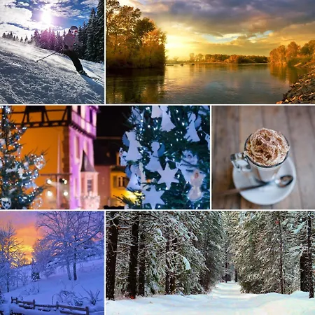 Le De Jade * Dannemarie (Haut-Rhin)